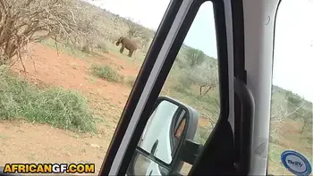 Beautiful Black Girlfriend Reaches Pussy Smashed Travelling Across African Wilderness