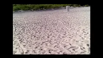 Exhibitionist Wife #36 & #39 - Big Tits 36DD MILF Lana Teasing Voyeur Cocks In Public At The Nude Beach While Hubby Films!