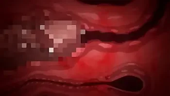 минет аниме хентай Дневник развития Чизур - 6