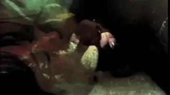 Vintage Taboo, Pussy & Pooch