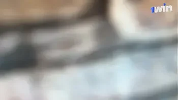 Get off me! Stupid stepbrother!