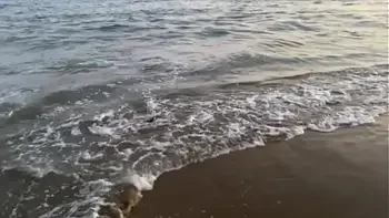 Lesbian thot suck off the boss