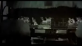 The Cheerleaders (1973)