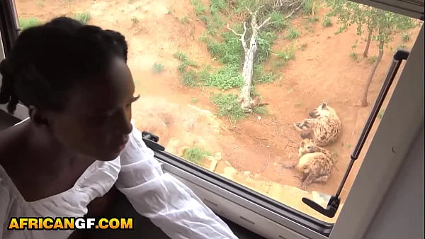 AfricanGF - Ebony Hottie Gives Safari Road Head To White BF