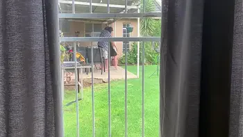 I caught my neighbours fucking outside in the backyard