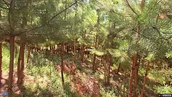 Buy me an energy drink and you can cum in me!