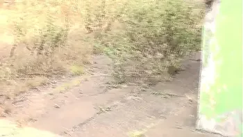 A sexy neighbor with a street guy caught having sex on the way to the construction site in the bush