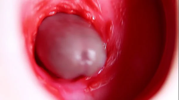 Nice big head slides inside best friend's sweet shiny hole!