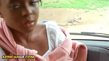 Real Black Babe Pussy Railed POV By Hung White Tourist In Safari Van