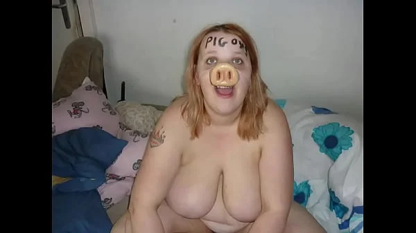 2019 Year Of The Pig