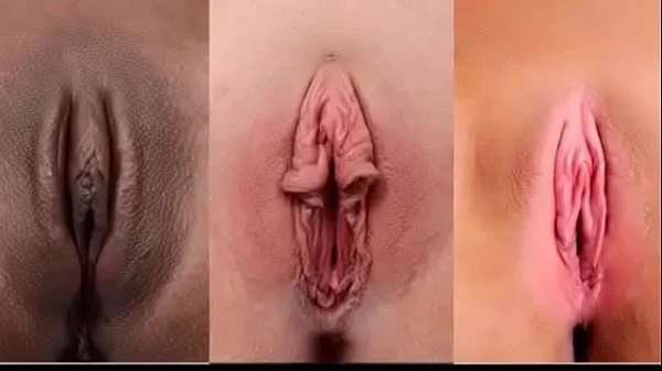 What Kind Of Pussy Do You Prefer?