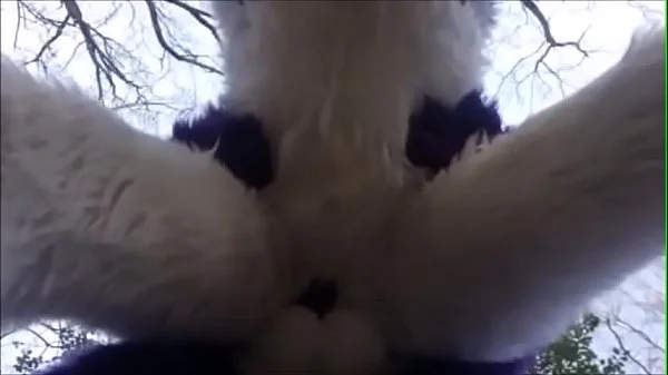 Fursuit Couple Mating in Woods