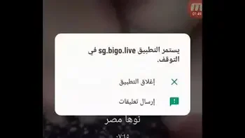 علاء وحورية شراميط البيجو