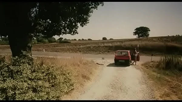 234545454
