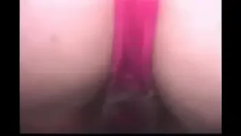 ann harlow and friends