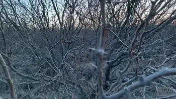 From Homeless to Pornstars Part 1 (non-porn documentary)