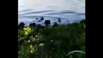 Kinky sex Venlo 2019