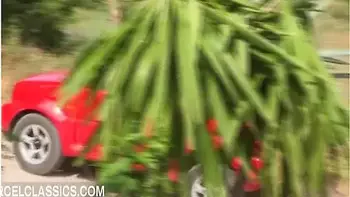 Swinger Night With A Blonde And A Brunette