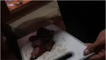 Argentina Vibes - Lunas Journey ( ) - Luna Okko