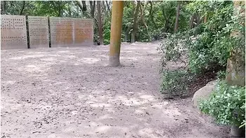 Beautiful Scenery, Delicious Food, Bathing In Nacchi