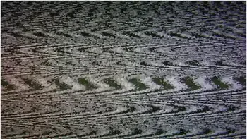 Lacey Lala In Pledge Wants Your Help (and Cock) [trailer]