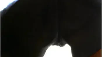 Pussy On Glass Table