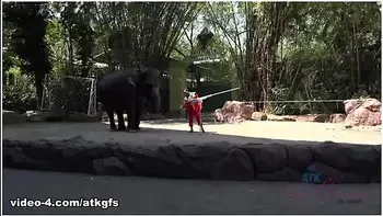 Jamie Marleigh in Jamie Gets To Meet Giraffes Face To Face To Feed Them - ATKGirlfriends