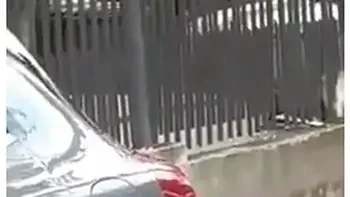 Cocaine Is A Hell Of A Drug