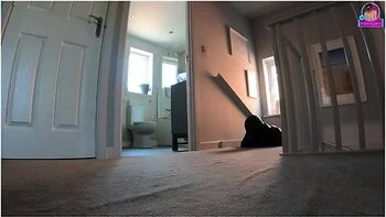 Training Zero Femdom Bondage Slave In Bitchsuit! Cum Orgasm Facesitting Chastity