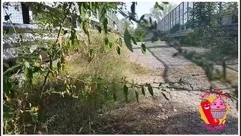 He Falls Off His Bike To Look At Ladymuffin