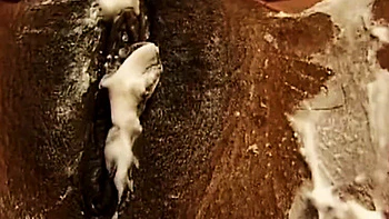 Shaved Ebony French Babe Gets Hard Fuck and Cum