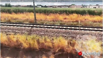 Public Sex In The Train, Risky Flashing, Doggystyle And Cumwalk / Real Amateur Couple