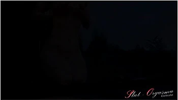 Naked Windshield Cleaning