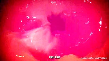 Devils Cookie Ending Iii (warning, Vore)