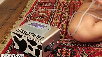 Denise - New Hucow Harness