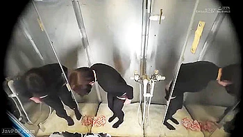 250929美女とツイスターゲームをプレイf4