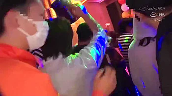 Nhdtc-023 Natural High 25th Anniversary Collection Of 12 Super