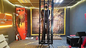 Yr On Wooden Horse And Metal Cage