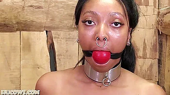 Thiccy Niccy Pump Training