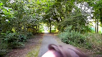 Petite Amie Amateur Fait Une Pipe Risquee Dans Un Parc