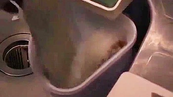 Amazing Sex Clip Creampie Exotic