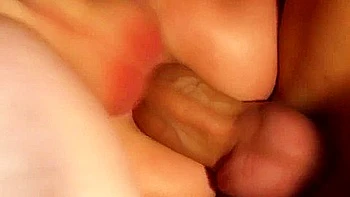 And Peter Oh Tool - Stacey And Peters