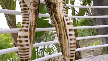 JulesJordan.com - Ass Goddess Savannah Bond Worships 12 Inches Of Steel Cock