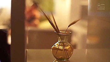 Sspd 152 Saeko Matsushita Eng Sub - Brunette