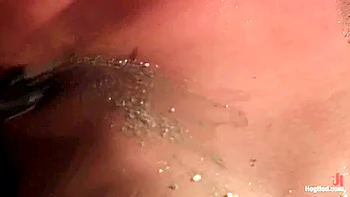 Exotic Sex Movie Orgasm Watch