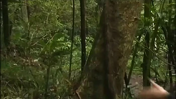 LLO835-CKVYNBIUFT646837198