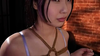 x2x2E0841760CF044E24E