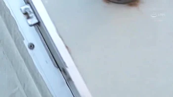 x5xBE8367650AC19C2F90