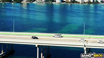 The Other Bus Didn't Stop