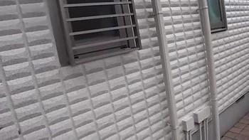 06410,Japanese lewd sex videos